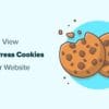 Cookie Info WP