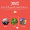 Jetsloth – Gravity Forms Image Choices