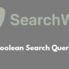 SearchWP Boolean Search Query