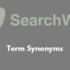 SearchWP Term Synonyms 2.4.14