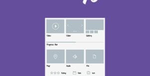 Themify Post Type Builder Extra Fields 2.0.1