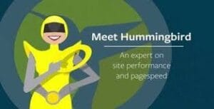 WPMU DEV Hummingbird Pro 3.9.4