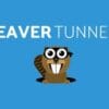 Beaver Tunnels Addon