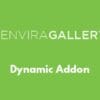 Envira Gallery – Dynamic Addon