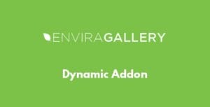 Envira Gallery – Dynamic Addon 1.6.6