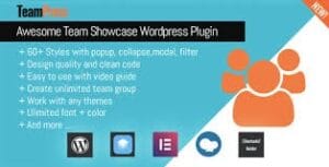TeamPress - Team Showcase plugin 1.6.2
