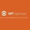 WP Optimize Premium