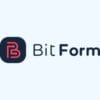 Bit Form Pro