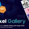 Pixel Gallery Pro